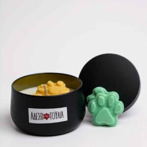 Χειροποίητο αρωματικό κερί σόγιας