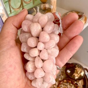 Διακοσμητικό τσαμπί σταφύλι